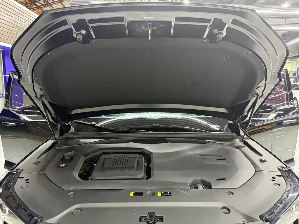 TRUMPCHI GS8 2022