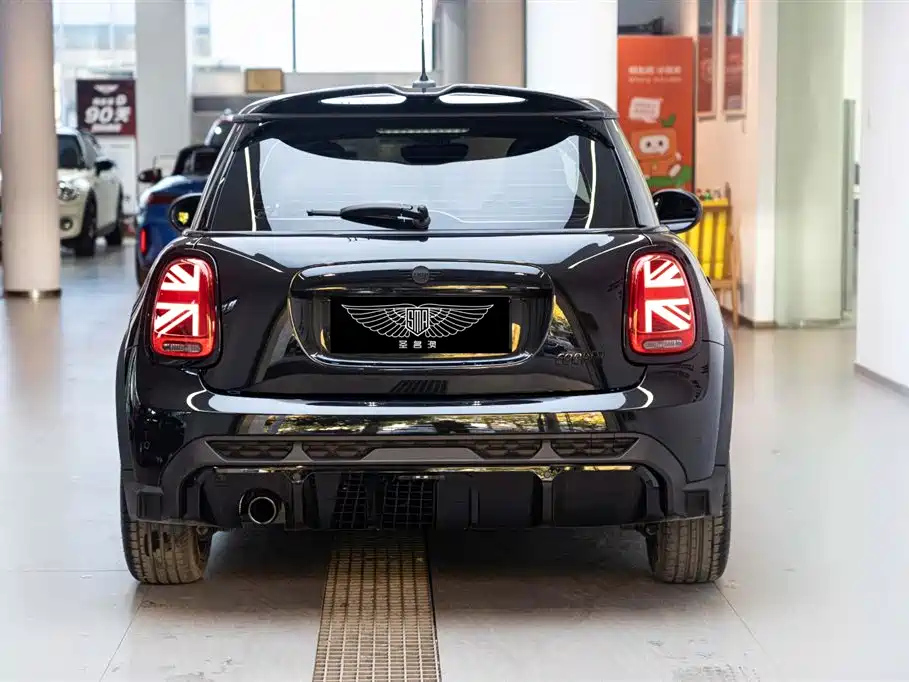MINI OTHER 2022