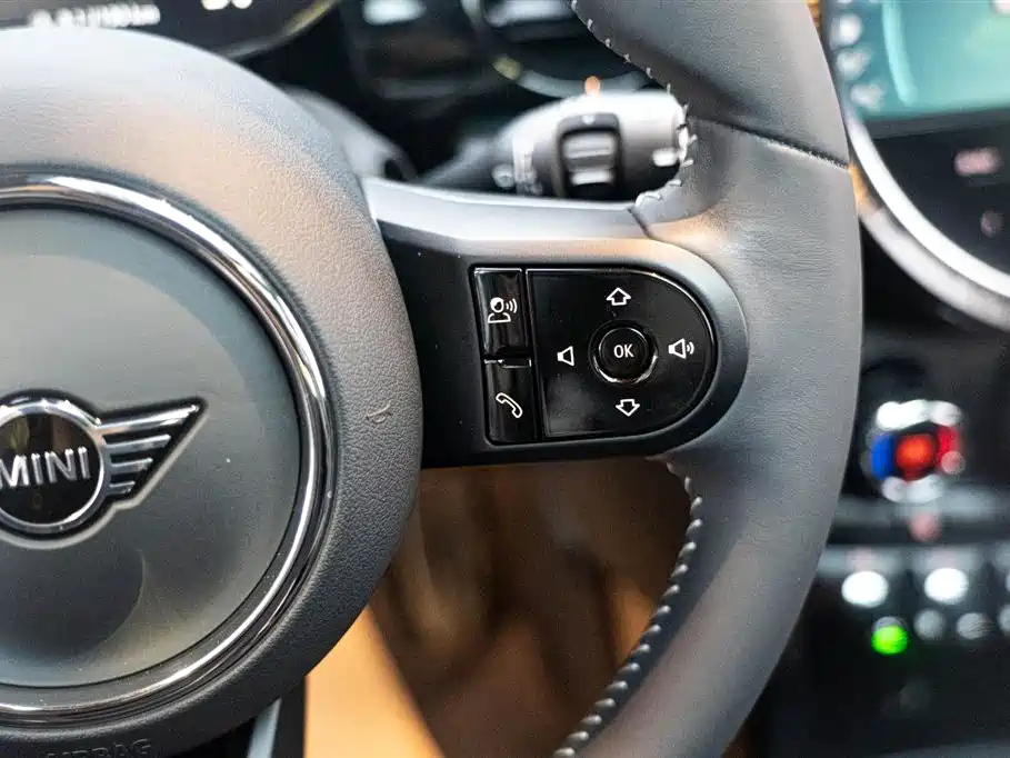 MINI OTHER 2022