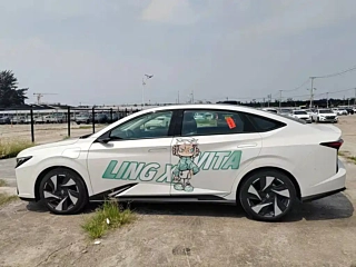 LINGXI L  2024