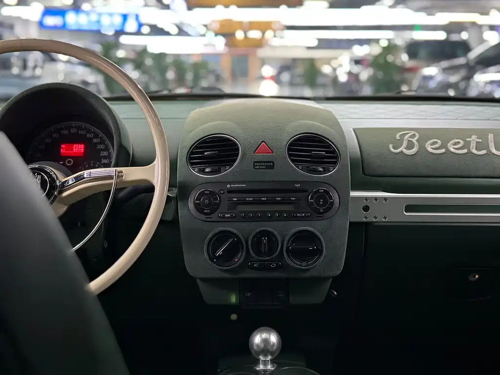 VOLKSWAGEN BEETLE 2010