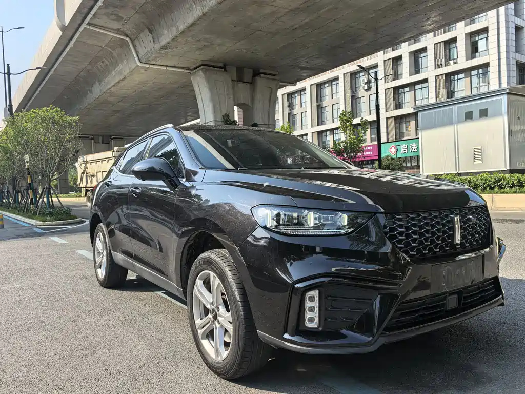 WEY VV5 2020