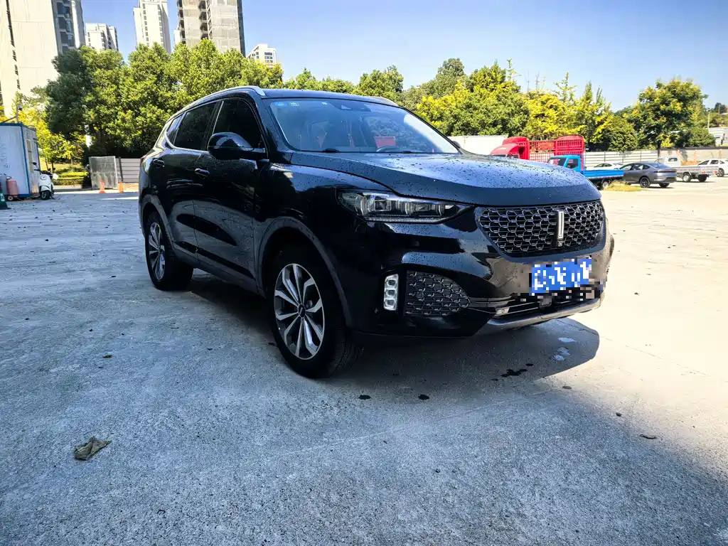 WEY VV6 2020