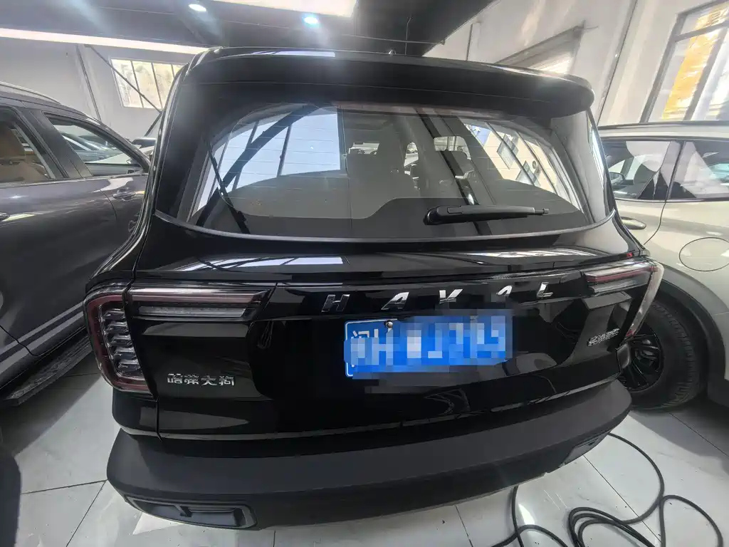 HAVAL BIG DOG 2022