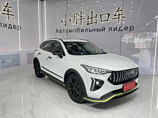 HAVAL RED RABBIT  2021