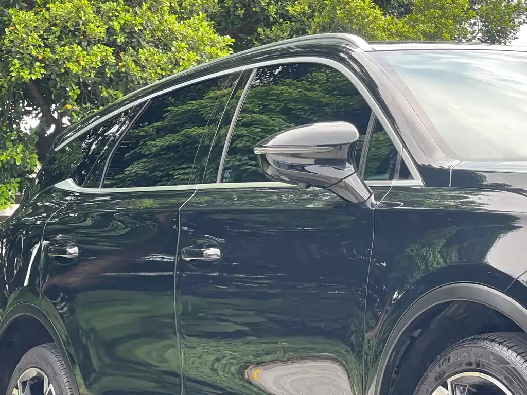 BYD TANG NEW ENERGY 2021