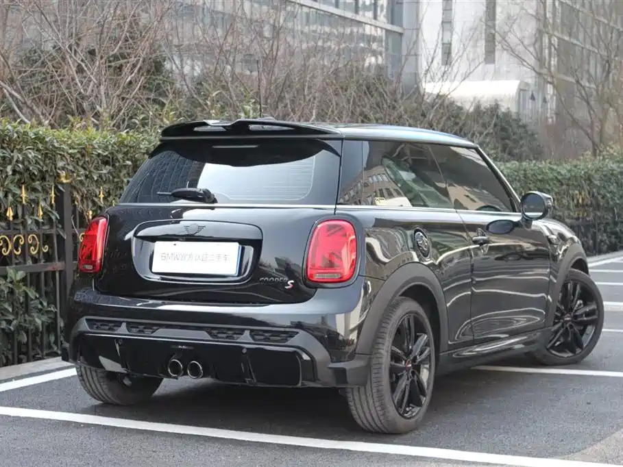 MINI OTHER 2022
