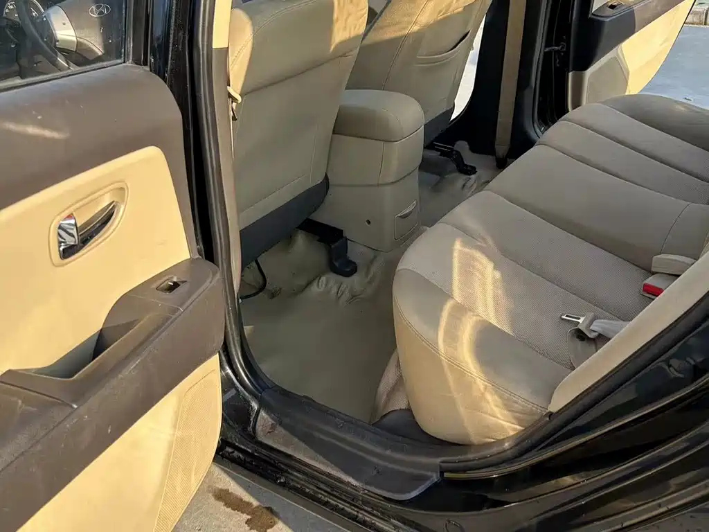 HYUNDAI CELESTA 2010