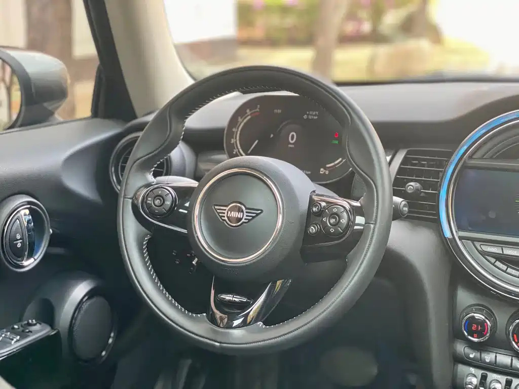 MINI OTHER 2021