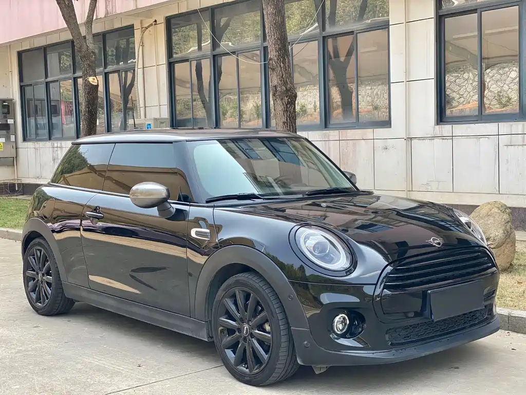MINI OTHER 2021