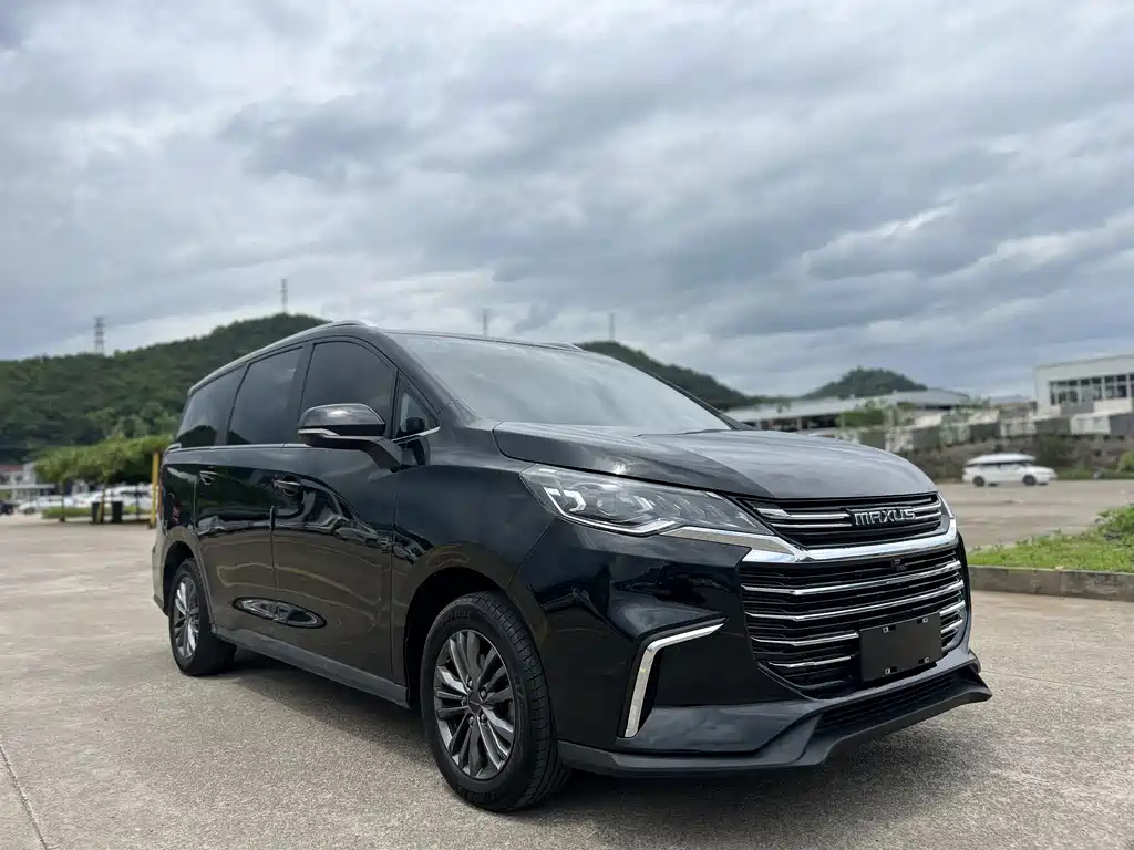 MAXUS OTHER 2019
