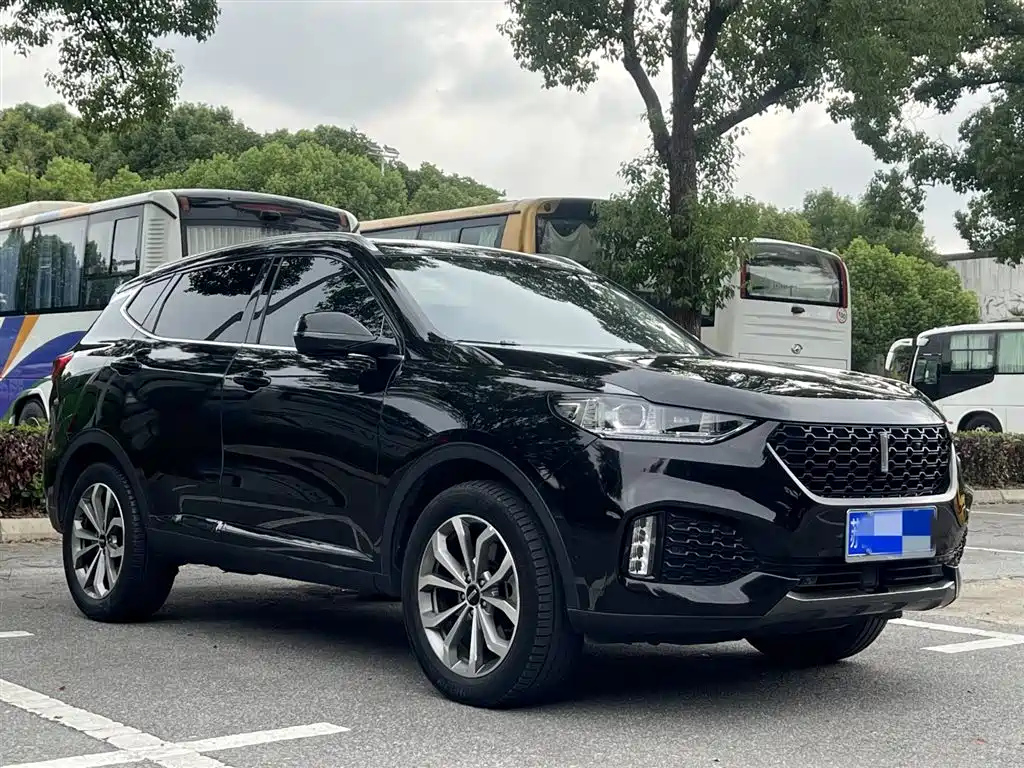 WEY VV6 2019