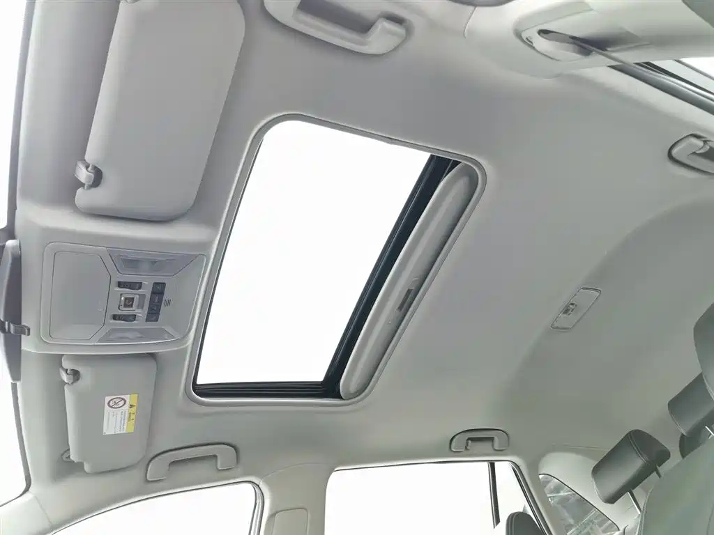 TOYOTA WILDLANDER 2021