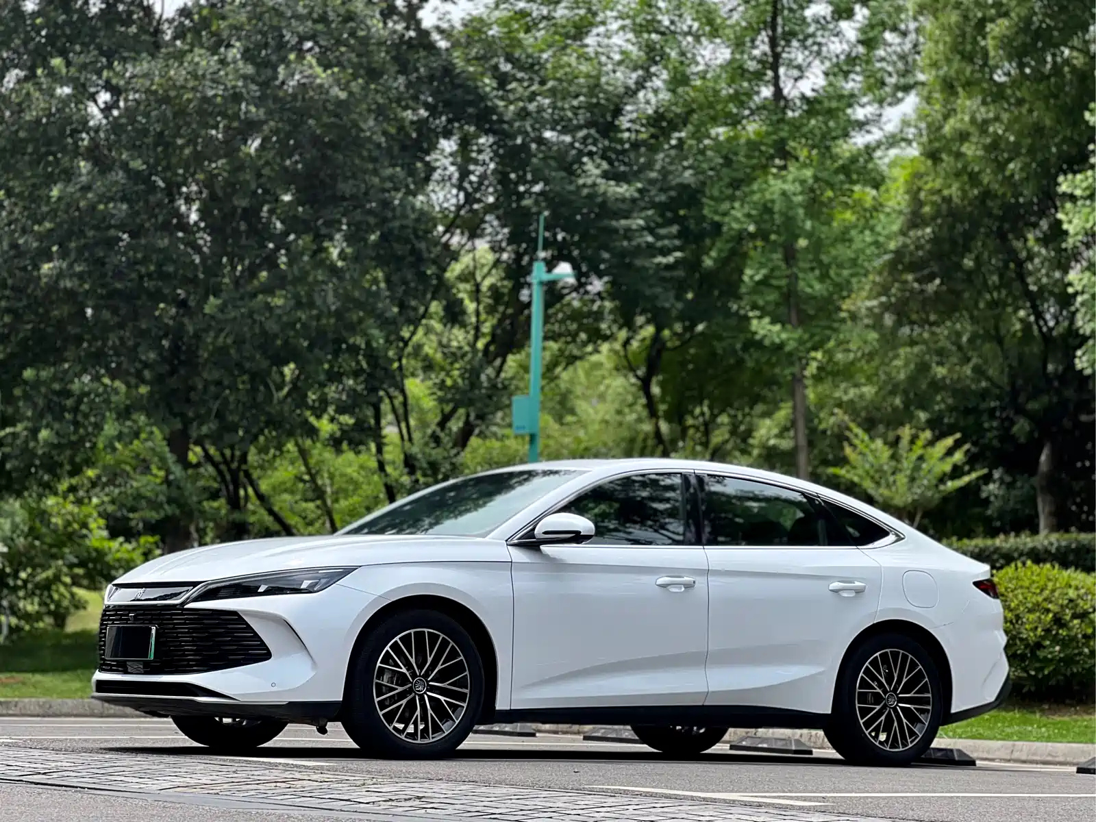 BYD QIN L 2024