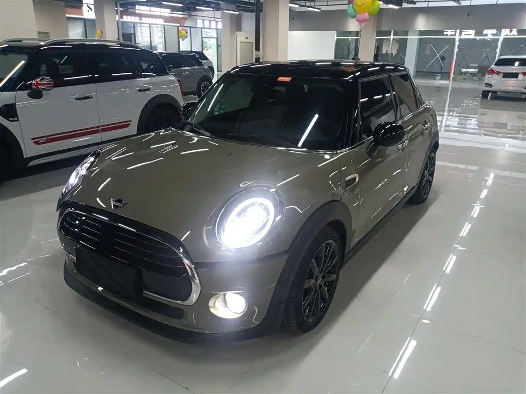 MINI OTHER 2018
