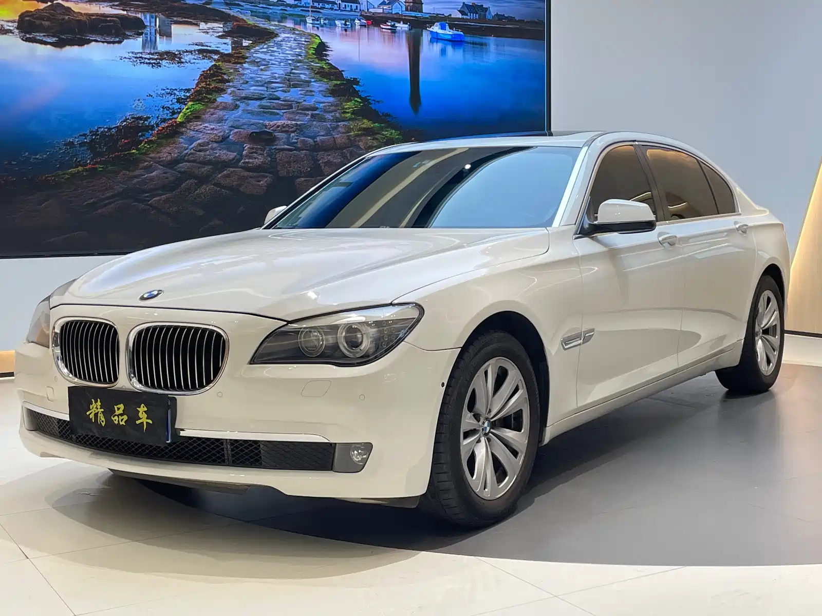 BMW 7-SERIES 2011