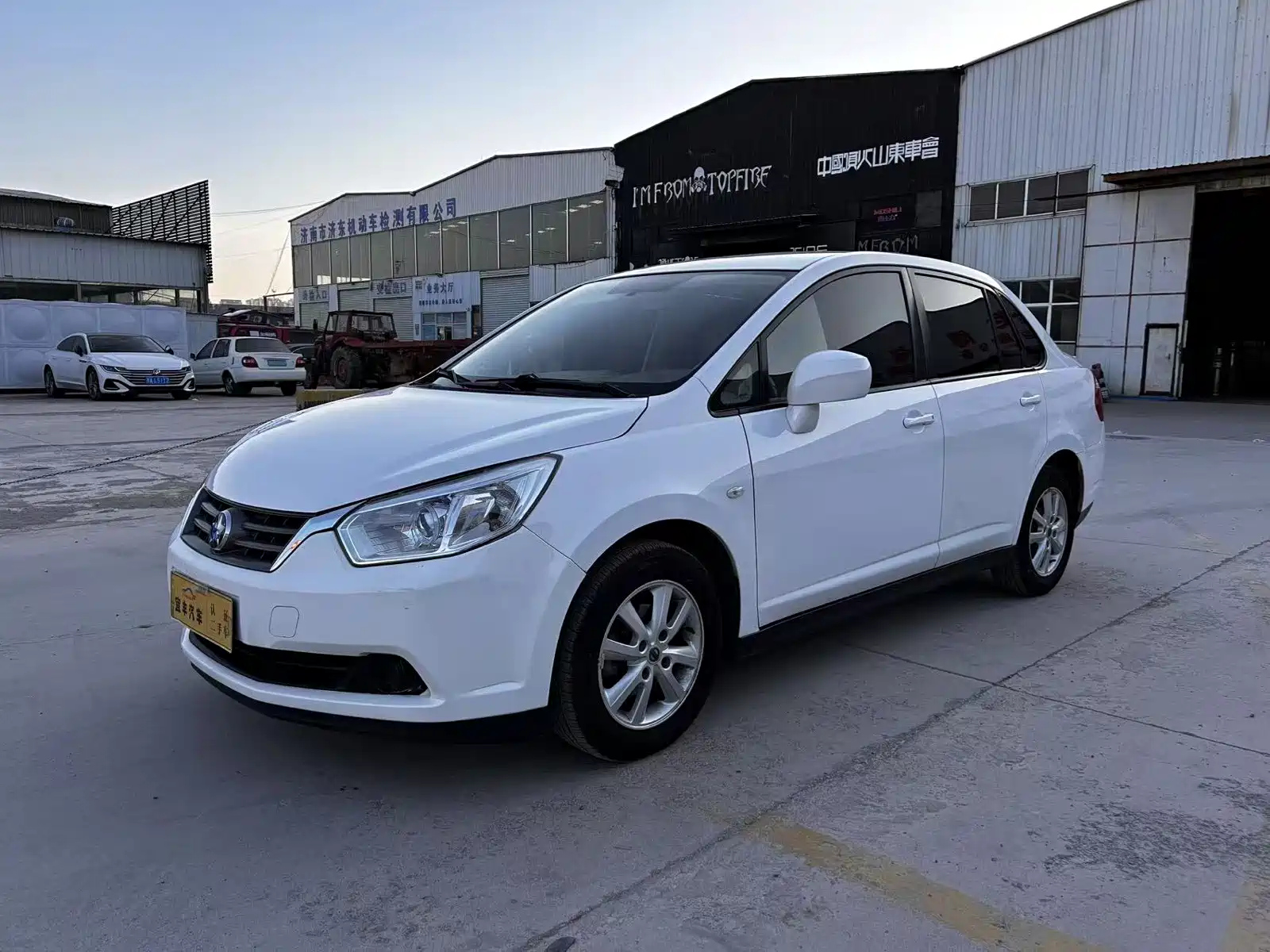 VENUCIA D50 2013