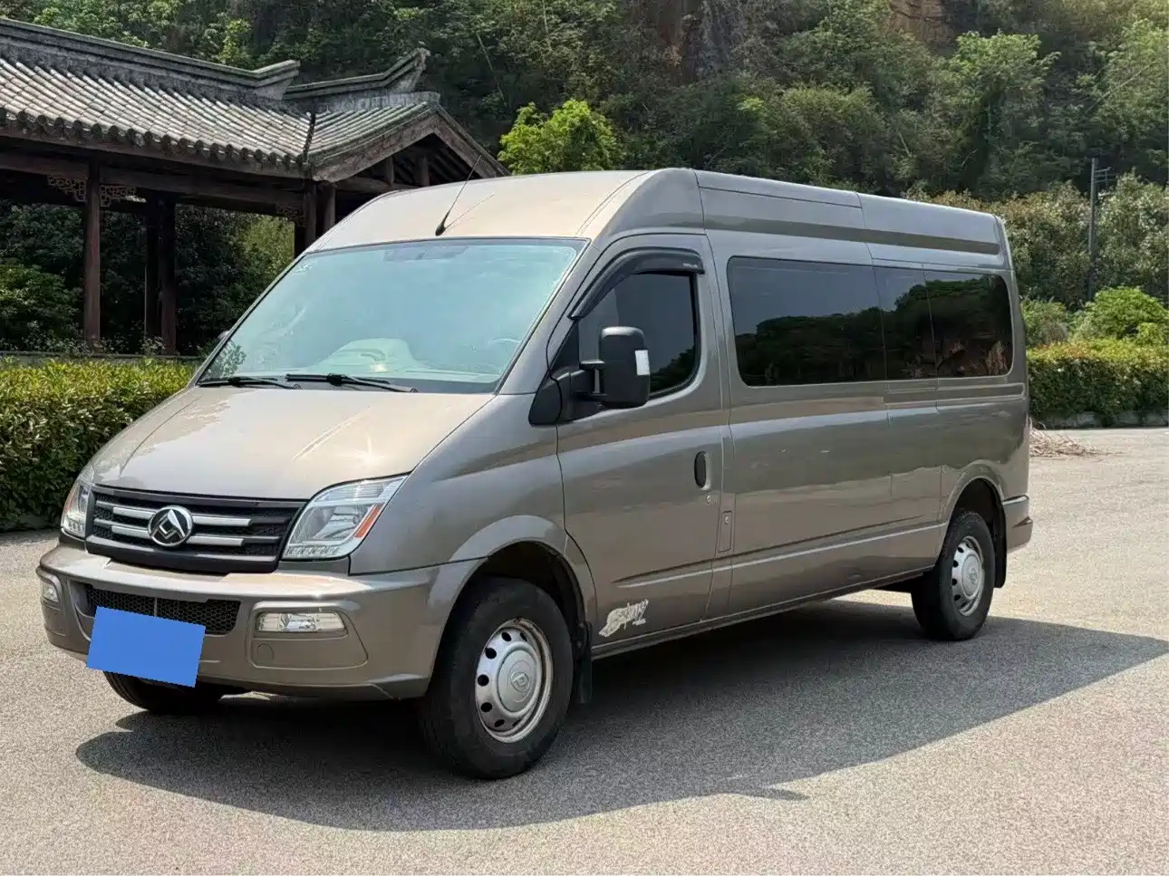 MAXUS OTHER 2019