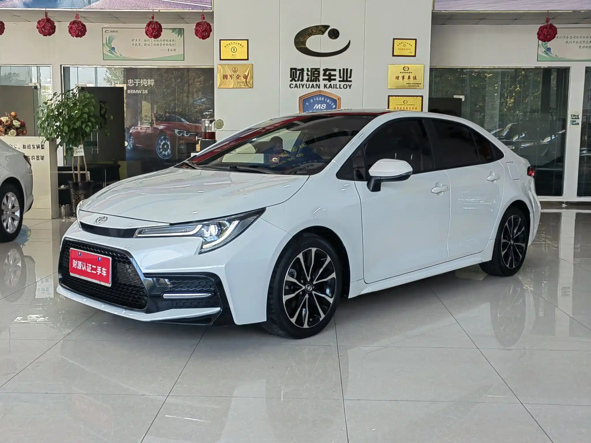 TOYOTA RALINK 2022