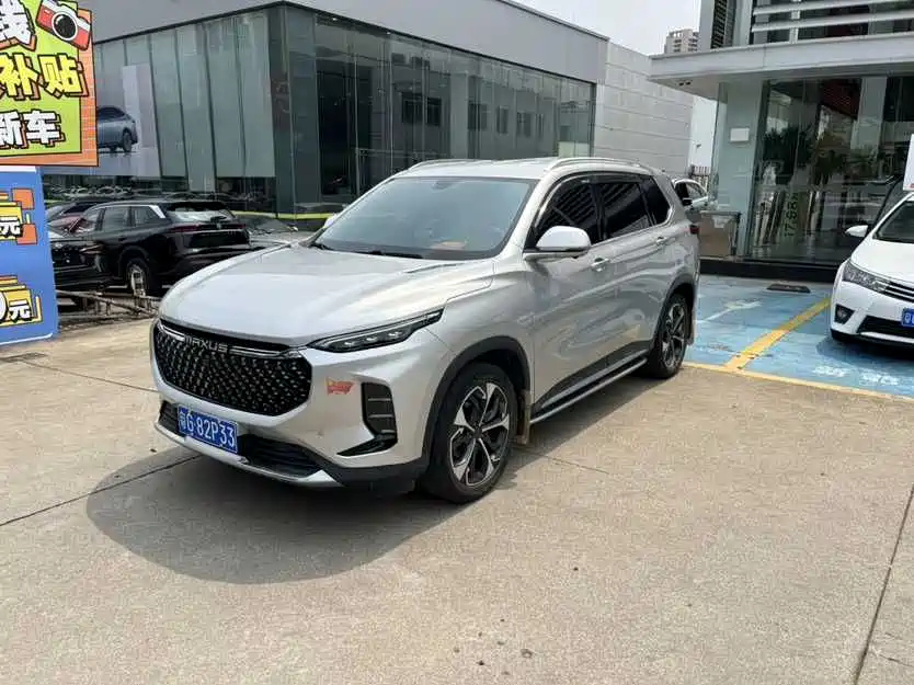 MAXUS OTHER 2019