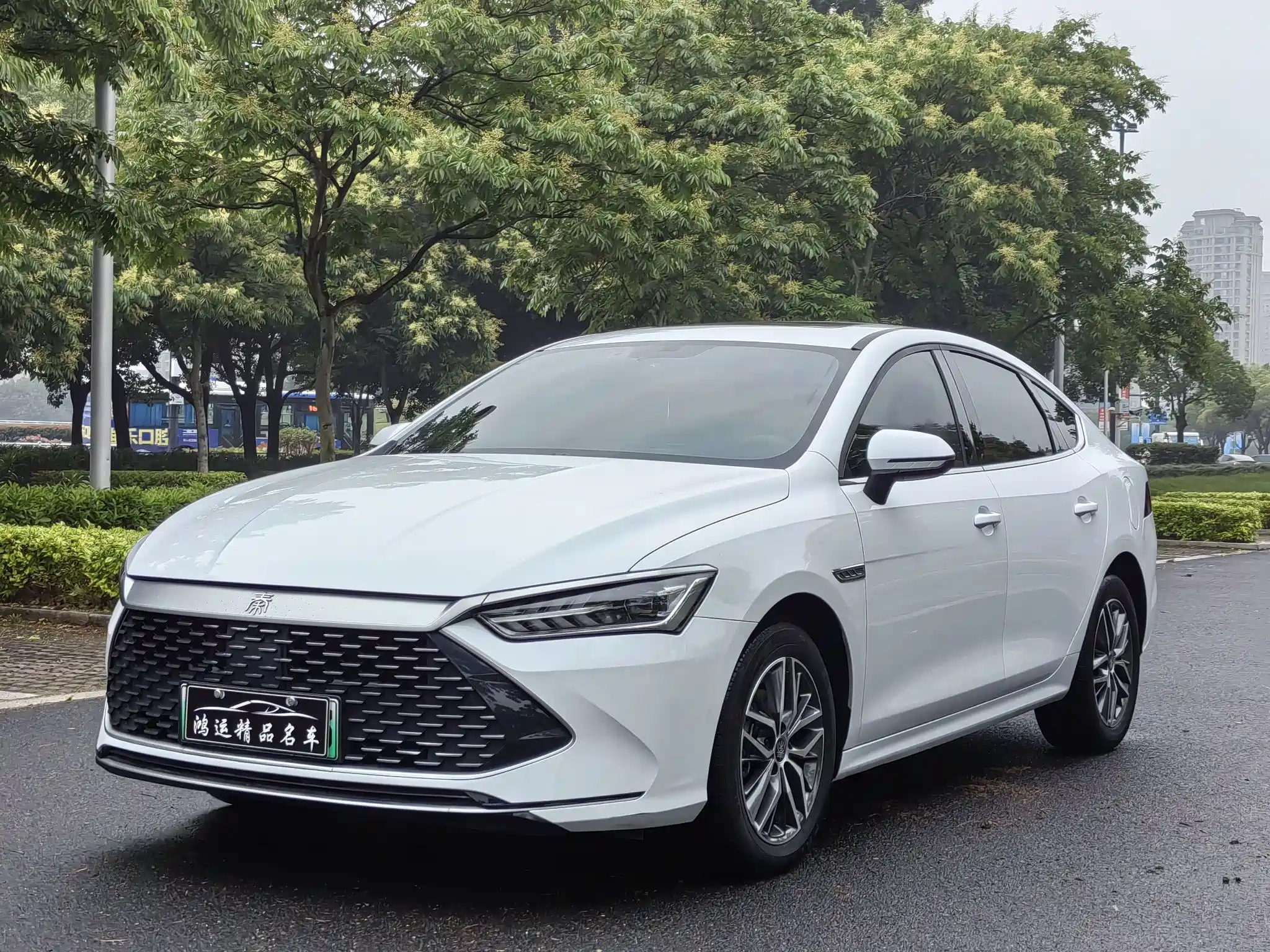 BYD QIN PLUS 2021