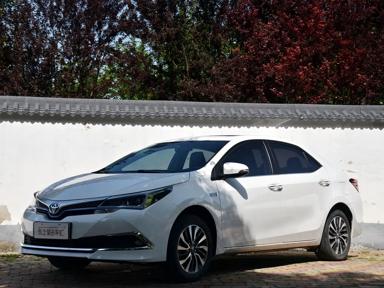 TOYOTA COROLLA DUAL ENGINE E+ 2019