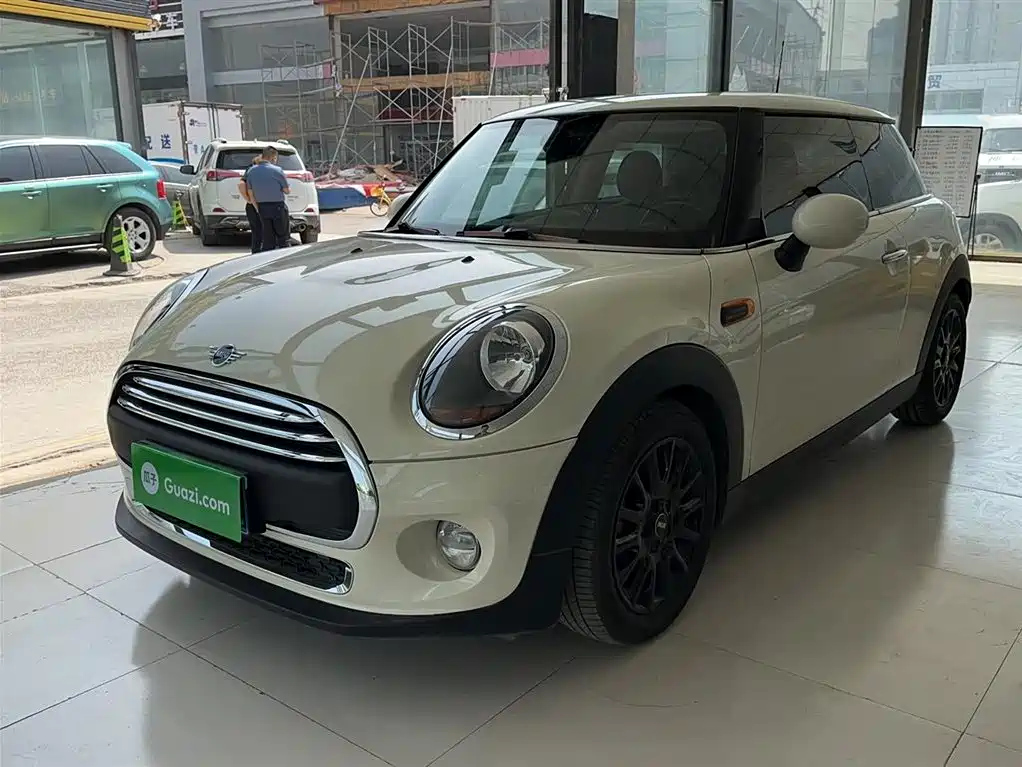 MINI OTHER 2018