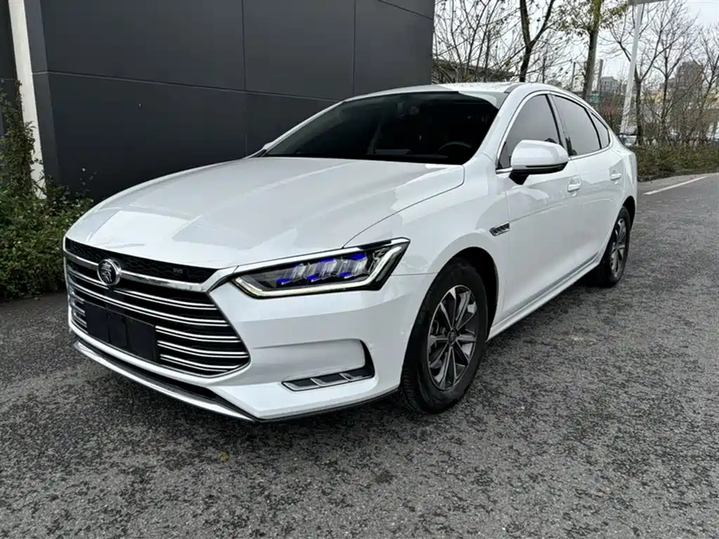 BYD QIN PRO NEW ENERGY 2019
