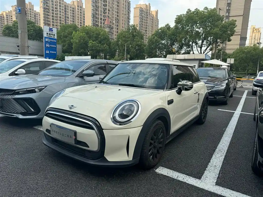 MINI OTHER 2022