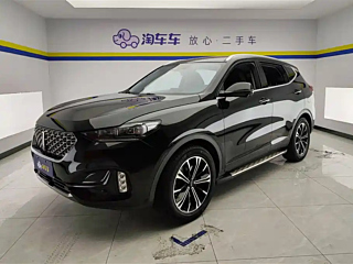 wey vv6
