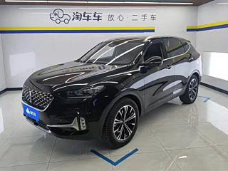 wey vv6
