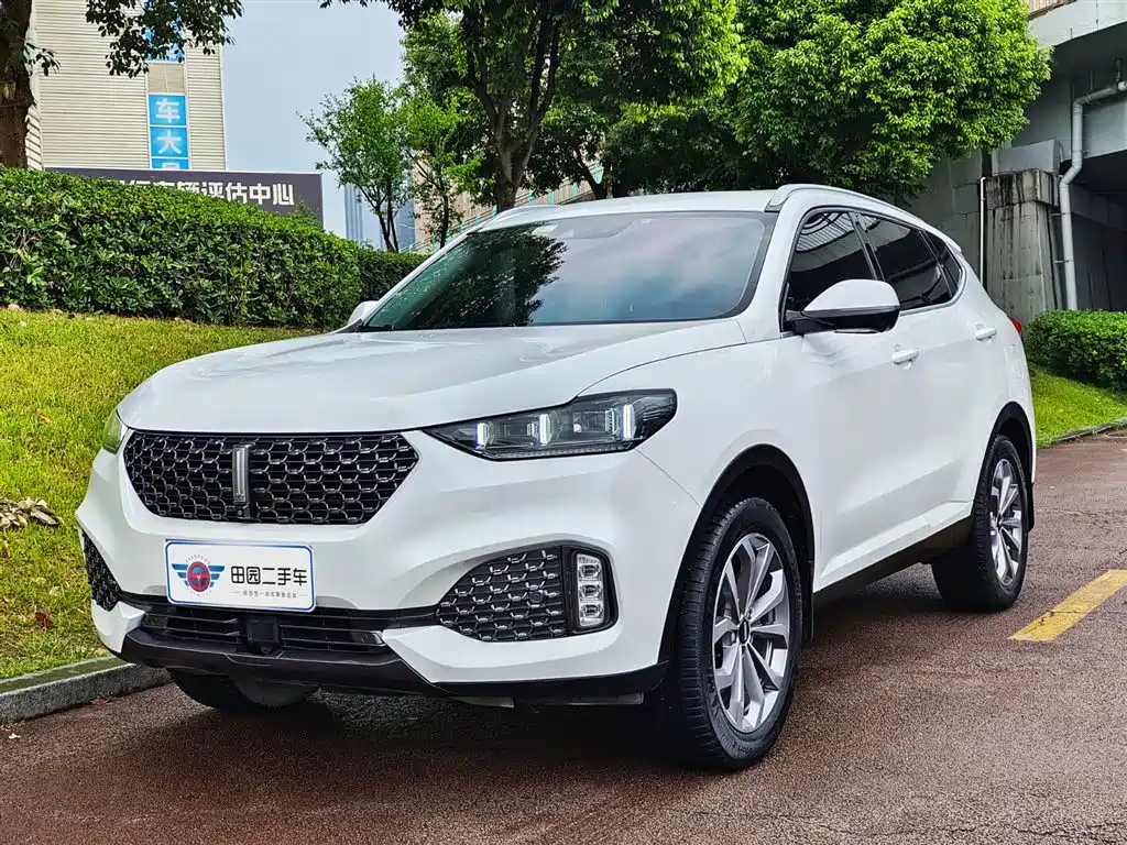 WEY VV6 2020