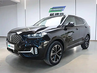 wey vv6