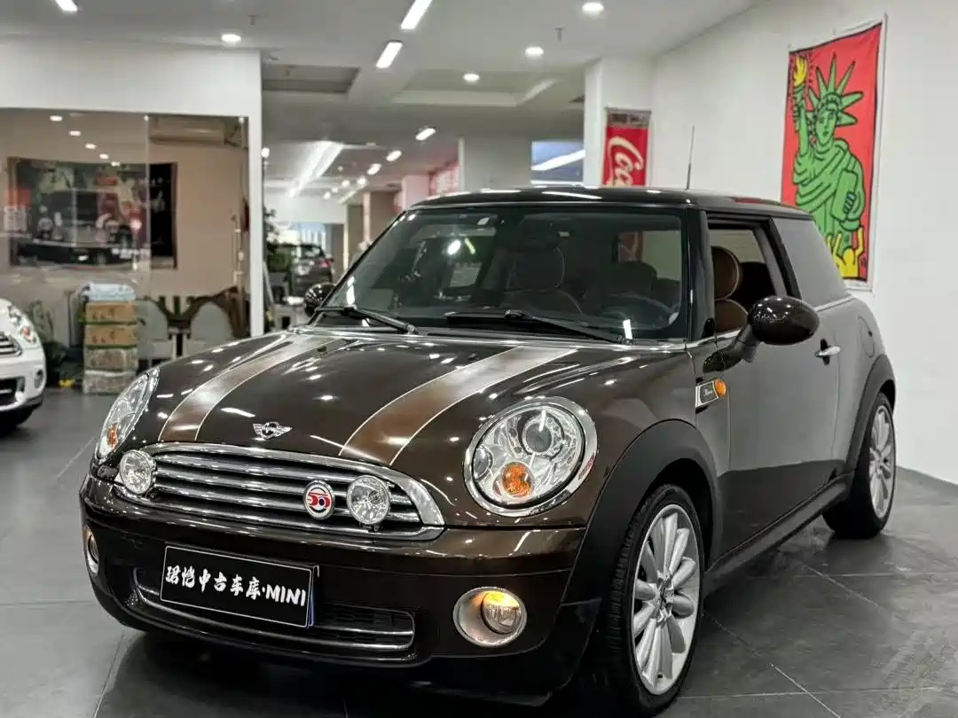 MINI OTHER 2010
