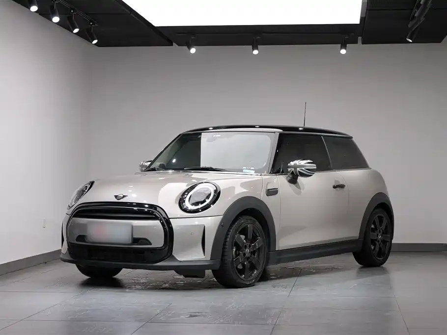 MINI OTHER 2023