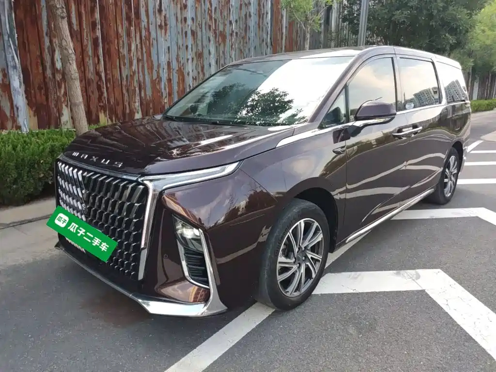 MAXUS OTHER 2022