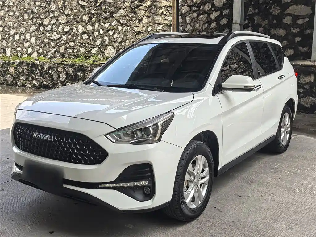 HAVAL M6 2019