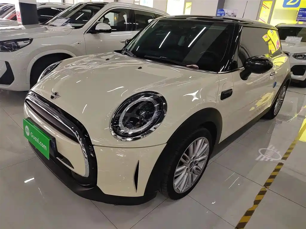 MINI OTHER 2022