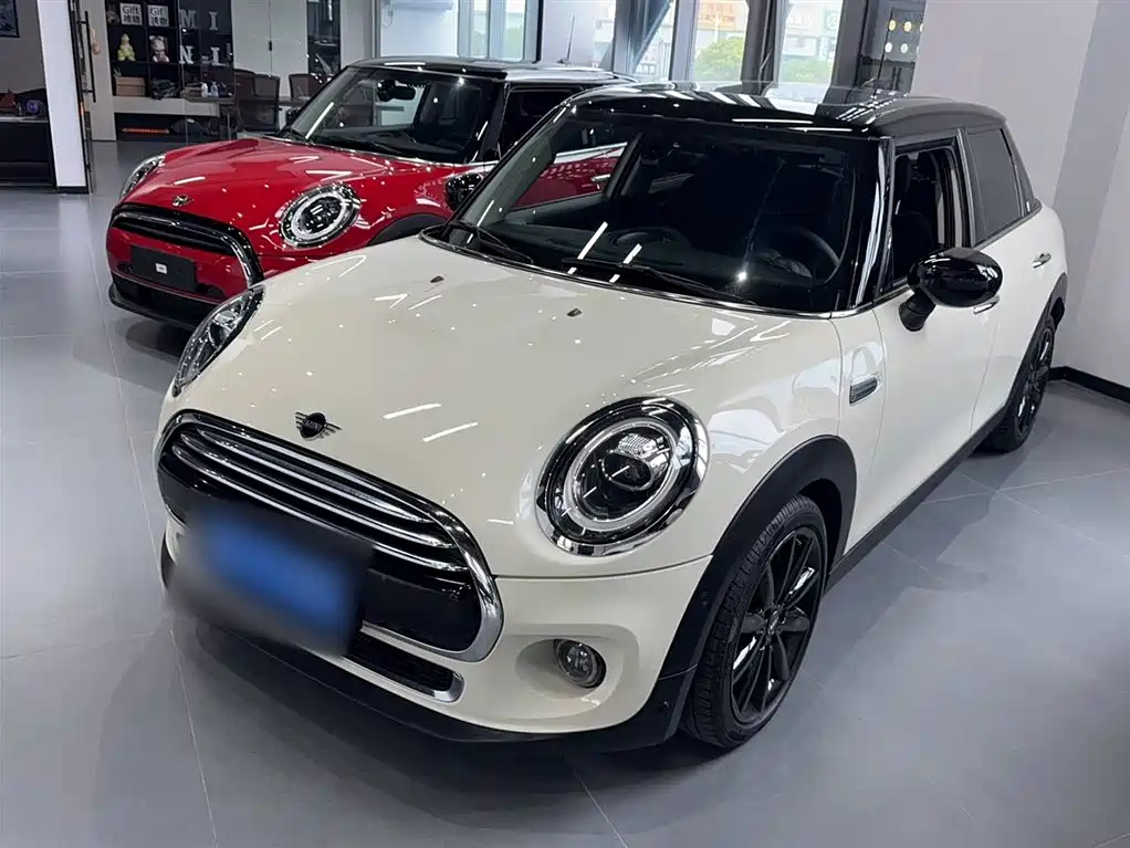 MINI OTHER 2019