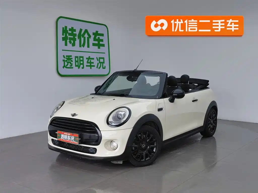 MINI OTHER 2016