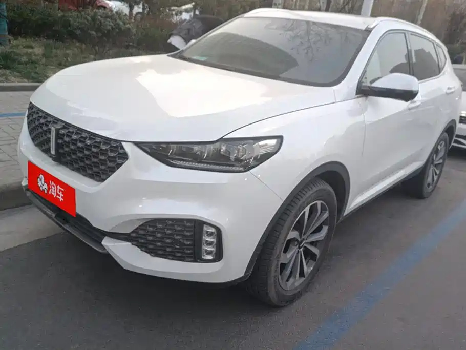 WEY VV6 2020