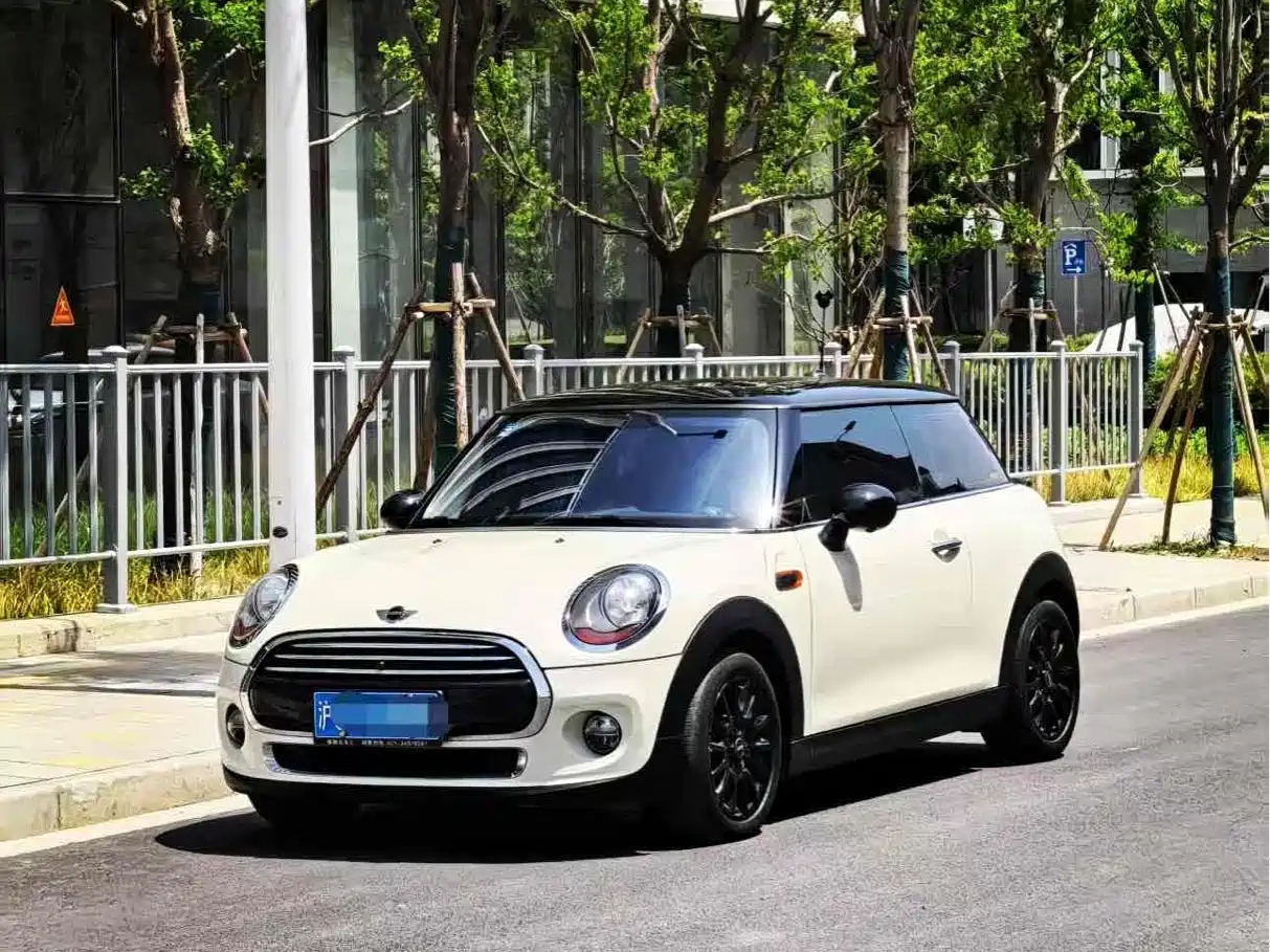 MINI OTHER 2016