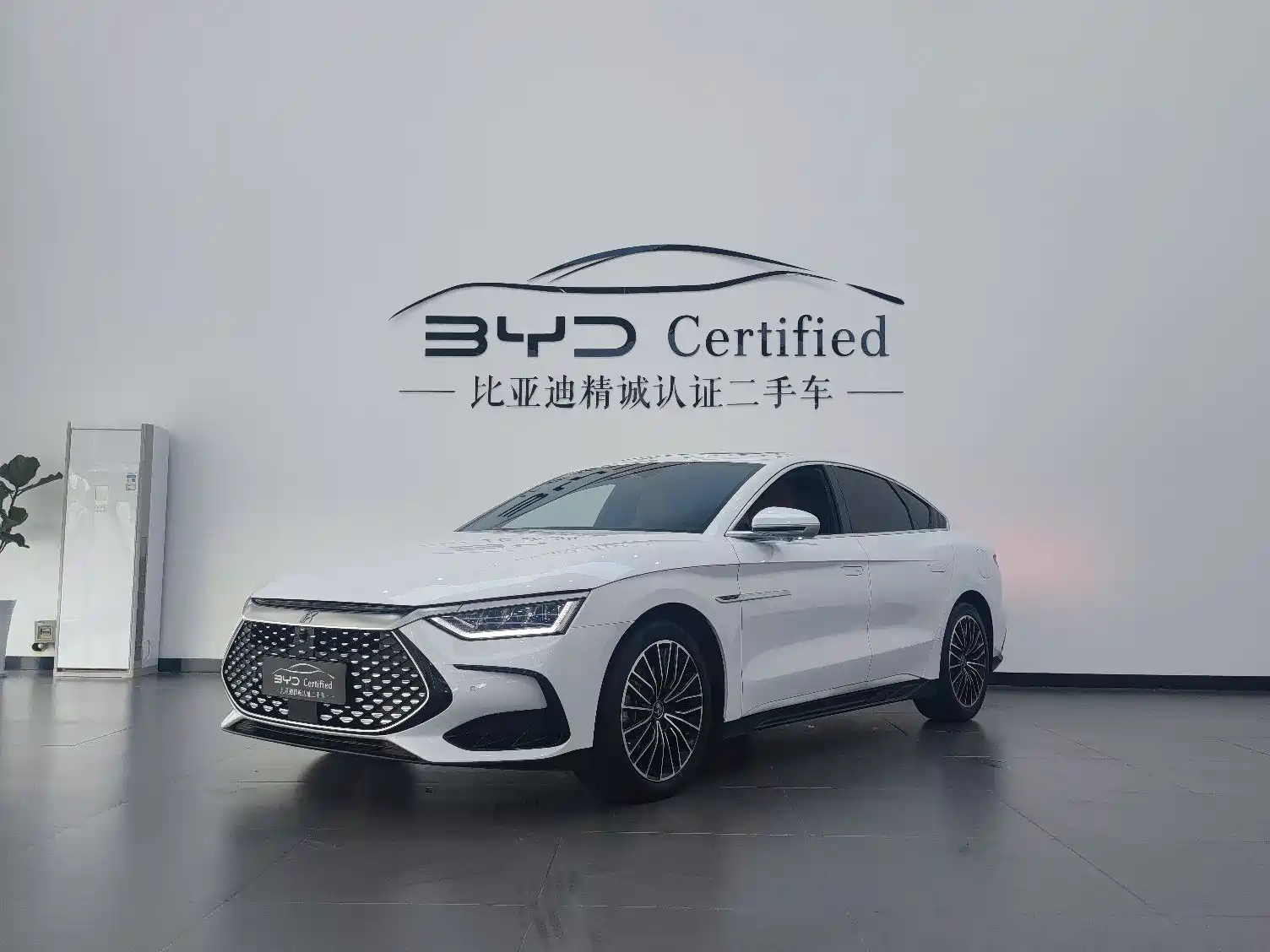 BYD HAN 2022