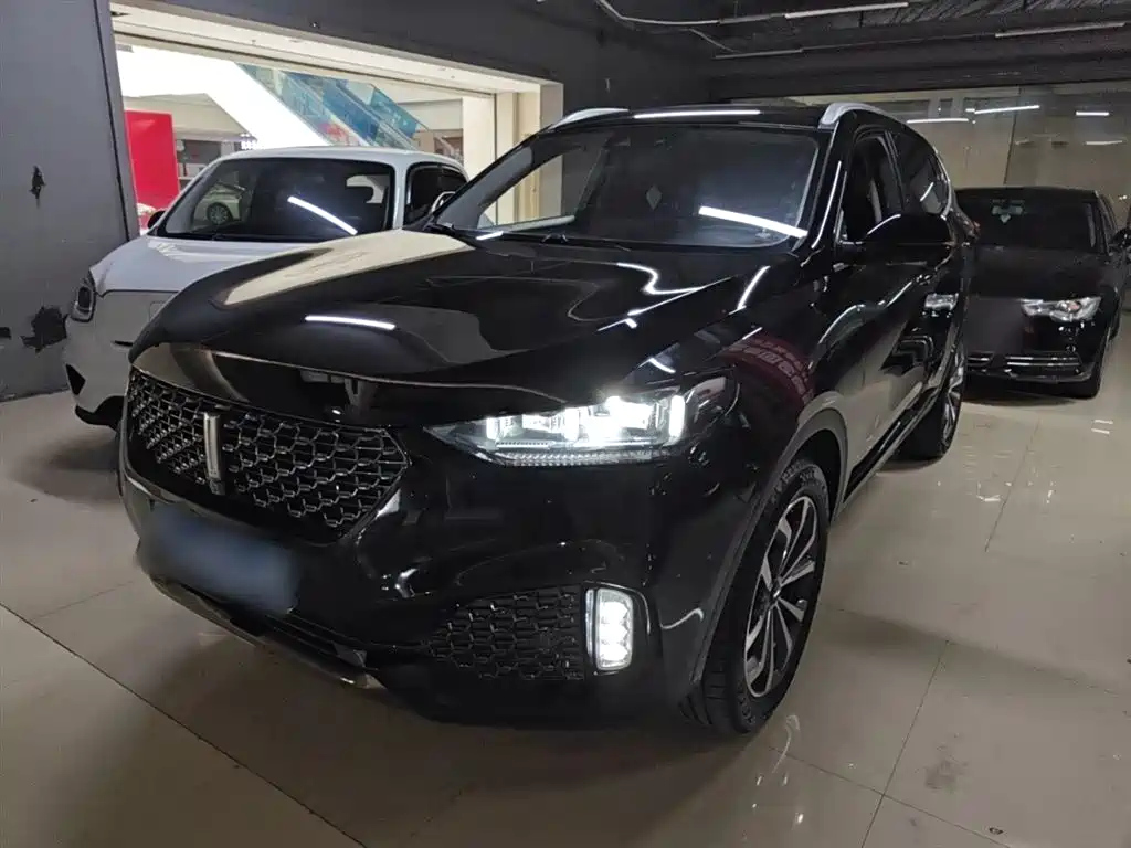 WEY VV6 2020