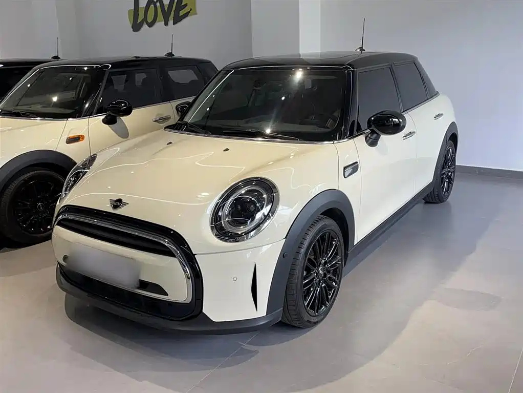 MINI OTHER 2022
