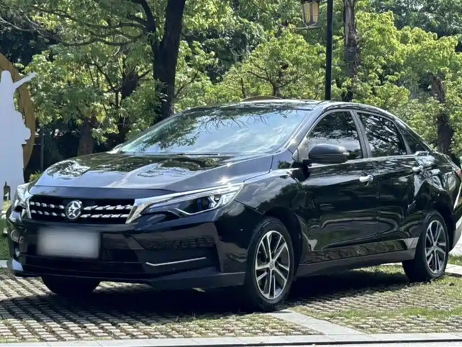VENUCIA D60 2019