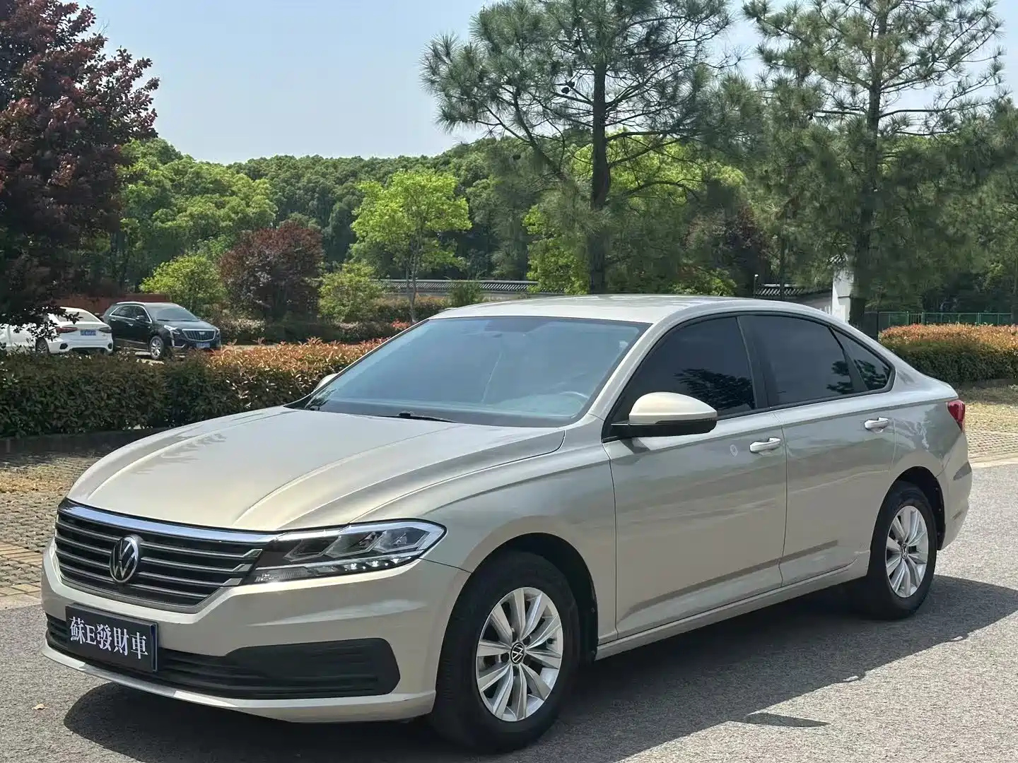 VOLKSWAGEN LAVIDA 2019