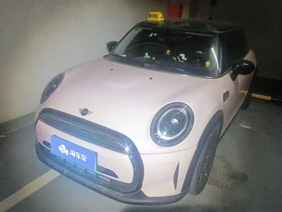 MINI OTHER 2022