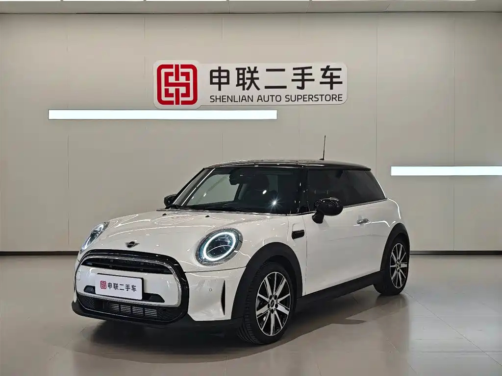 MINI OTHER 2023