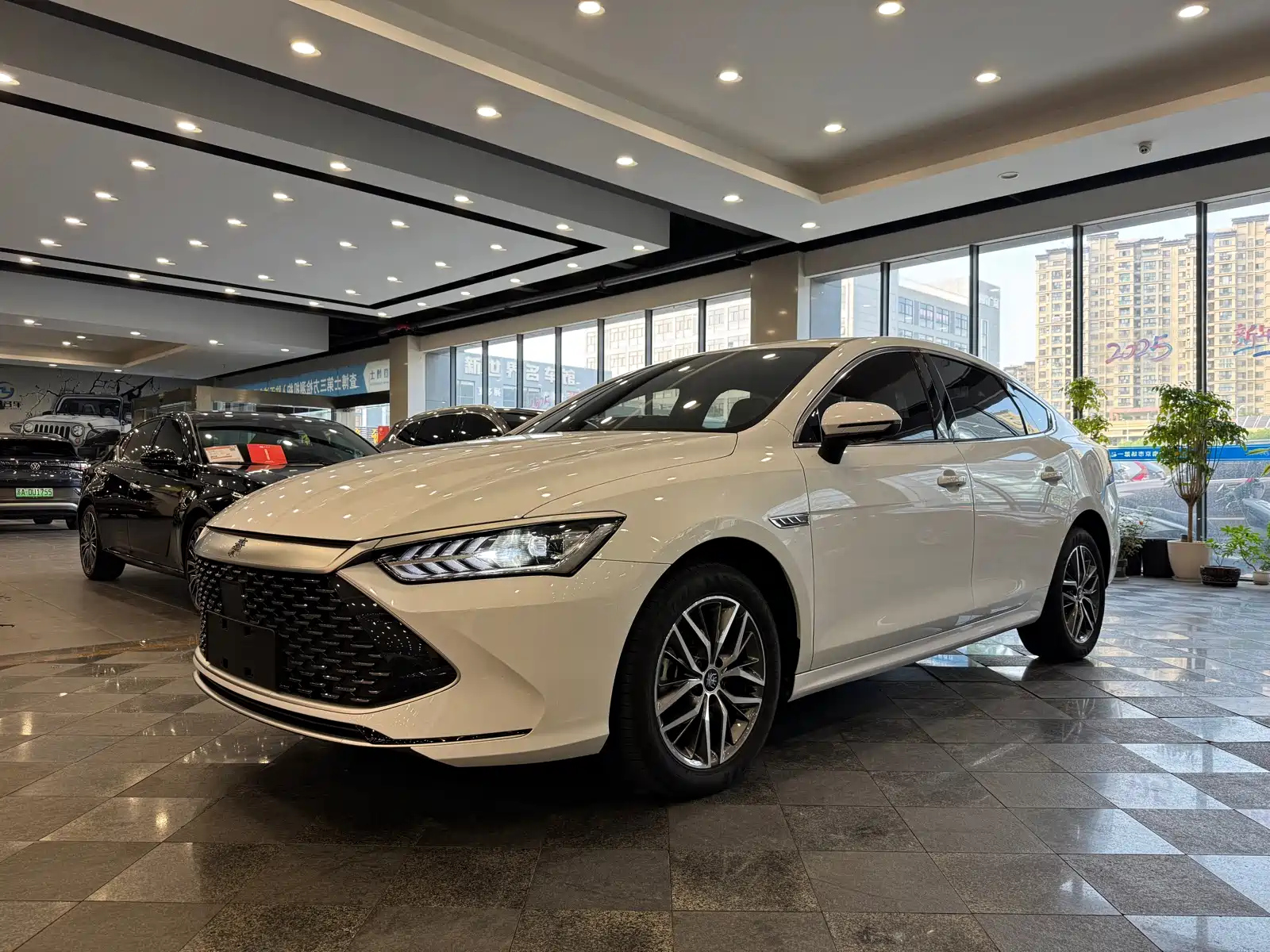 BYD QIN PLUS